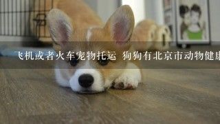 飞机或者火车宠物托运 狗狗有北京市动物健康免疫证 还需要什么？