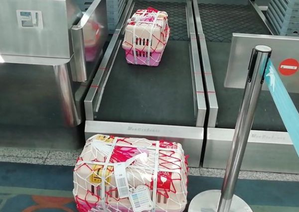 火车托运宠物