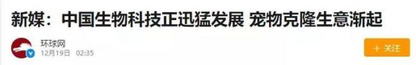 克隆去世的宠物，是一场永远无法结束的告别