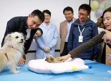克隆去世的宠物，是一场永远无法结束的告别
