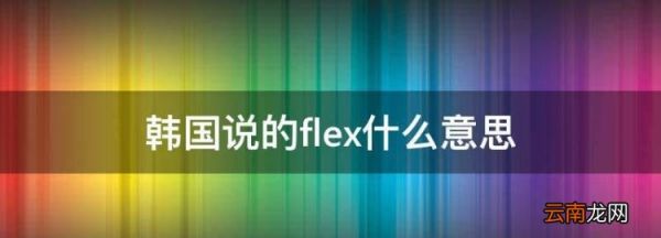 运宠物用什么快递,寄狗狗用什么快递公司?
