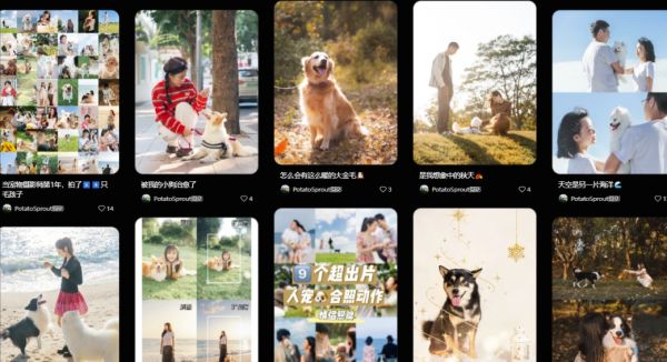 AI赚钱新玩法，用AI工具拍宠物写真，免费产出小红书爆款图文