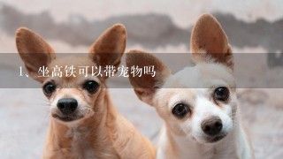 坐高铁可以带宠物吗