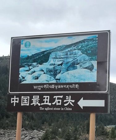 我寻思能有多丑才值得专门立个牌[笑哭]
