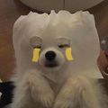 https://p1.meituan.net/userheadpicbackend/6d221d4a7611a7f2b275fb441bd6e0b3114066.jpg%40120w_120h_1e_1c_1l%7Cwatermark%3D0