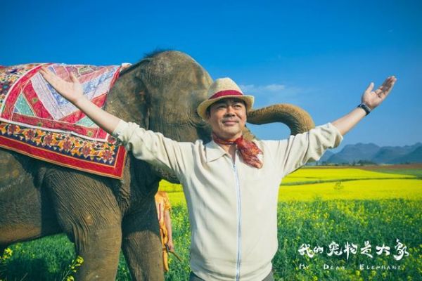 《我的宠物是大象》中年人追逐起梦想，可以“吞”下一群大象