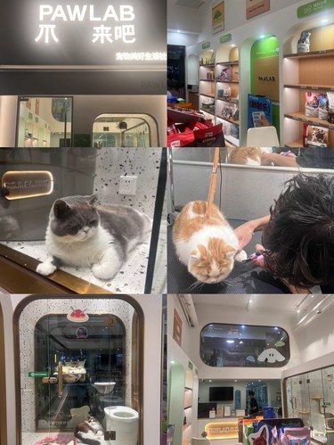 宝藏宠物洗护店来喽！！！
