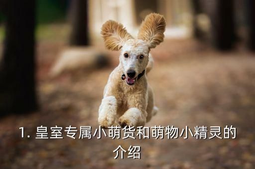 1. 皇室专属小萌货和萌物小精灵的介绍