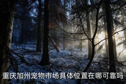 重庆加州宠物市场具体位置在哪可靠吗