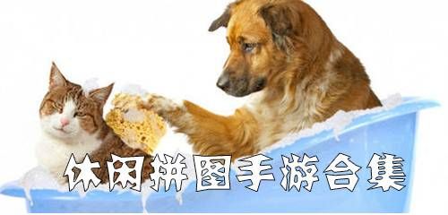 有宠物的手游合集