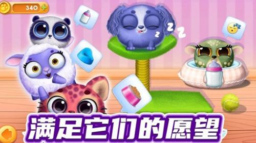 我的宠物总动员
