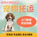 枣庄宠物小狗托运上门接宠