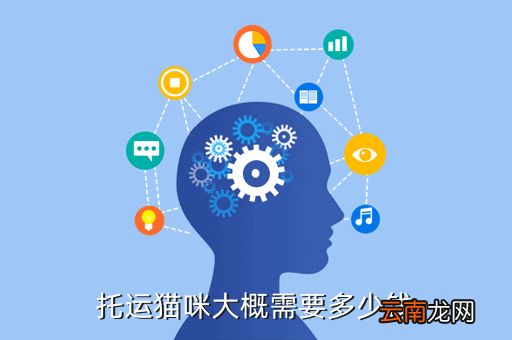 快递五斤的猫要多少钱，省外5KG的物品 顺风快递到付要多少钱
