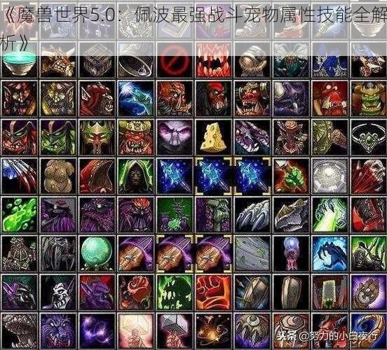《魔兽世界5.0：佩波最强战斗宠物属性技能全解析》