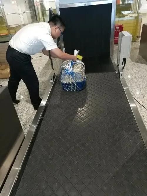 宠物怎么托运？飞机空运基本流程