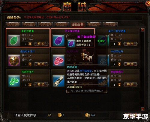 DNF2013宠物系统悉数登场：属性、获取与战斗乐趣全解析