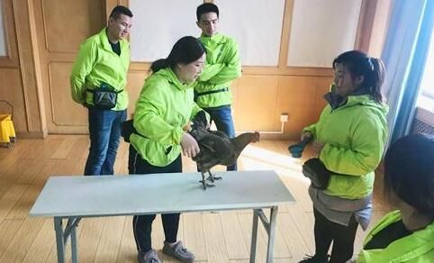 训犬师培训竟包含全部的宠物？还可以获得高薪！