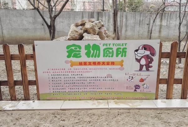 北京：东花市街道设置4座宠物公厕 “汪星人”如厕也文明