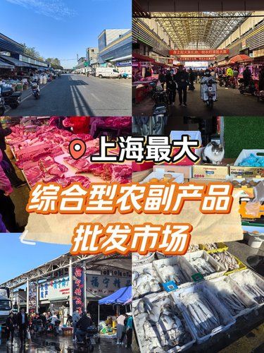 上海最大综合型农副产品批发市场