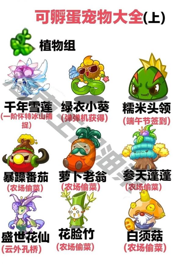 洛克王国宠物培育室开张，孵化新宠物，体验乐趣！