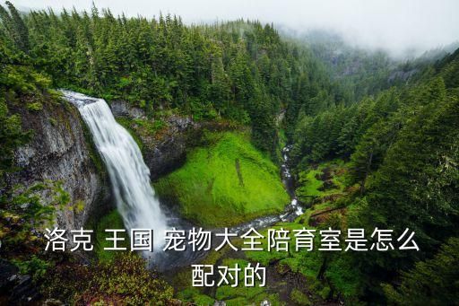  洛克 王国 宠物大全陪育室是怎么配对的