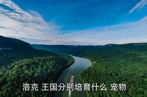  洛克 王国分别培育什么 宠物