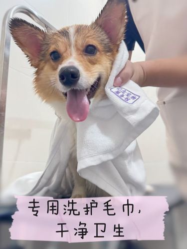 #来洗澡不用自带浴巾!