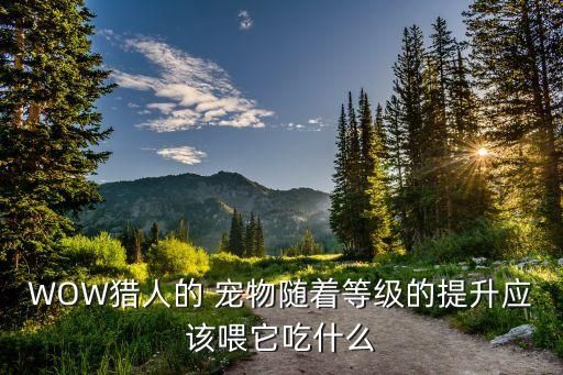 WOW猎人的 宠物随着等级的提升应该喂它吃什么