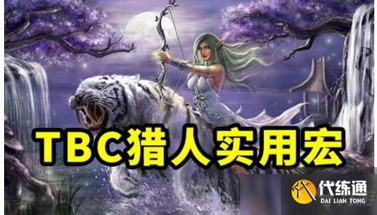 魔兽世界TBC怀旧服猎人实用宏汇总 抽筋宏加误导宏