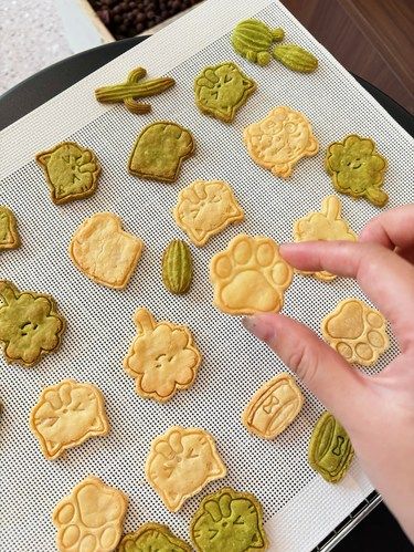 wuuu～新奇体验，给主子做可爱的小饼干～