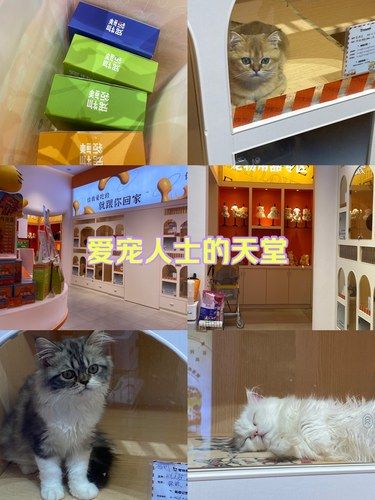 爱宠人士的天堂