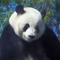 https://p0.meituan.net/userheadpicbackend/ac084999c4b83c3c83aa9a78c2277b9a131193.jpg%40120w_120h_1e_1c_1l%7Cwatermark%3D0