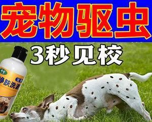 体外驱虫后狗狗反应详解（宠物健康需要我们的关注）