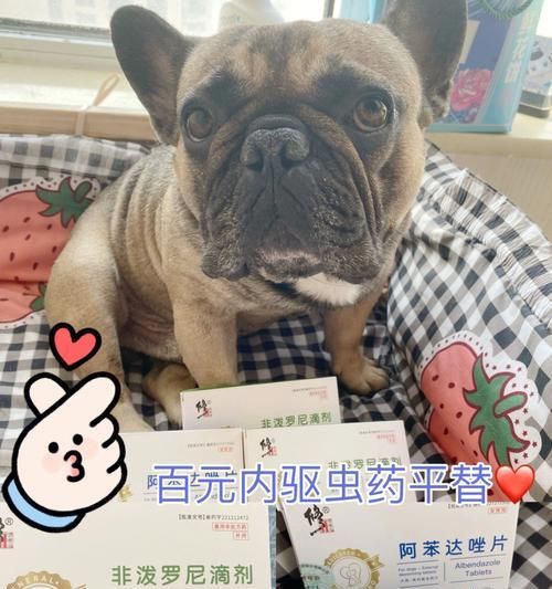 体外驱虫后狗狗反应详解（宠物健康需要我们的关注）