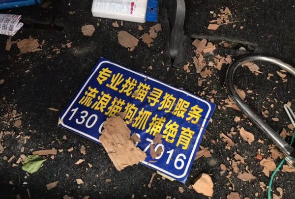 ▲孙锦荣印制的寻宠广告牌。新京报记者祖一飞 摄