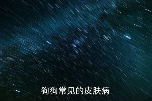 狗狗常见的皮肤病