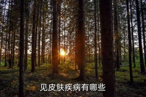 见皮肤疾病有哪些