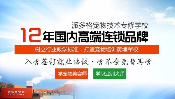 宠物美容师要学多久呢？学费要多少钱？