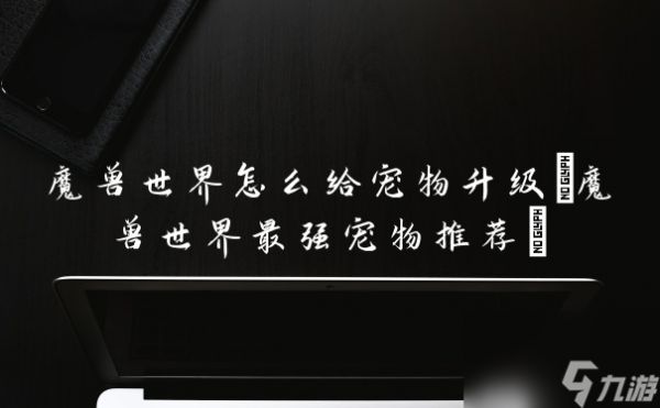 魔兽世界怎么给宠物升级(魔兽世界最强宠物推荐)