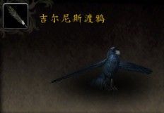 吉尔尼斯渡鸦