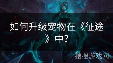 如何升级宠物在《征途》中？