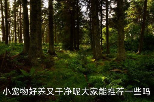 小宠物好养又干净呢大家能推荐一些吗