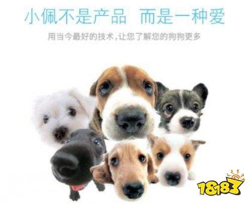 小佩宠物