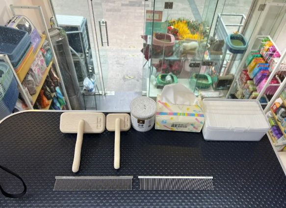 宠物宝宝宠物店