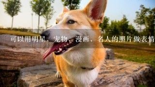 可以用明星，宠物，漫画，名人的照片做表情包吗？
