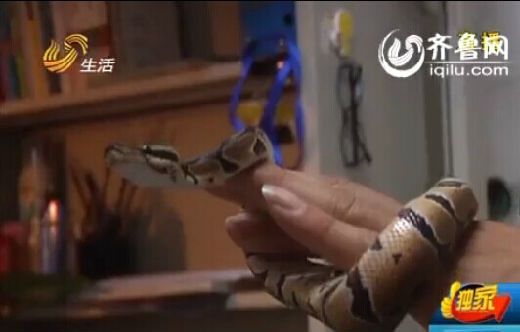 在小孙的带动下，他的舍友甚至也加入了饲养宠物的行列。（视频截图） 