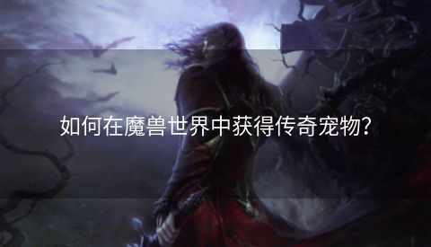 如何在魔兽世界中获得传奇宠物？ 第1张