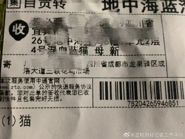 成都哪里可以寄宠物快递（成都哪家快递可以寄猫咪）