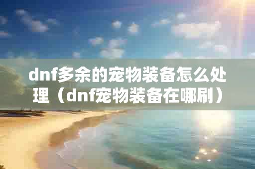 dnf多余的宠物装备怎么处理（dnf宠物装备在哪刷）