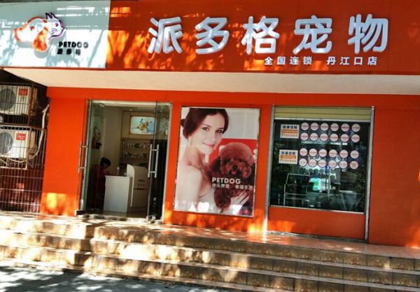 宠物店加盟费多少钱